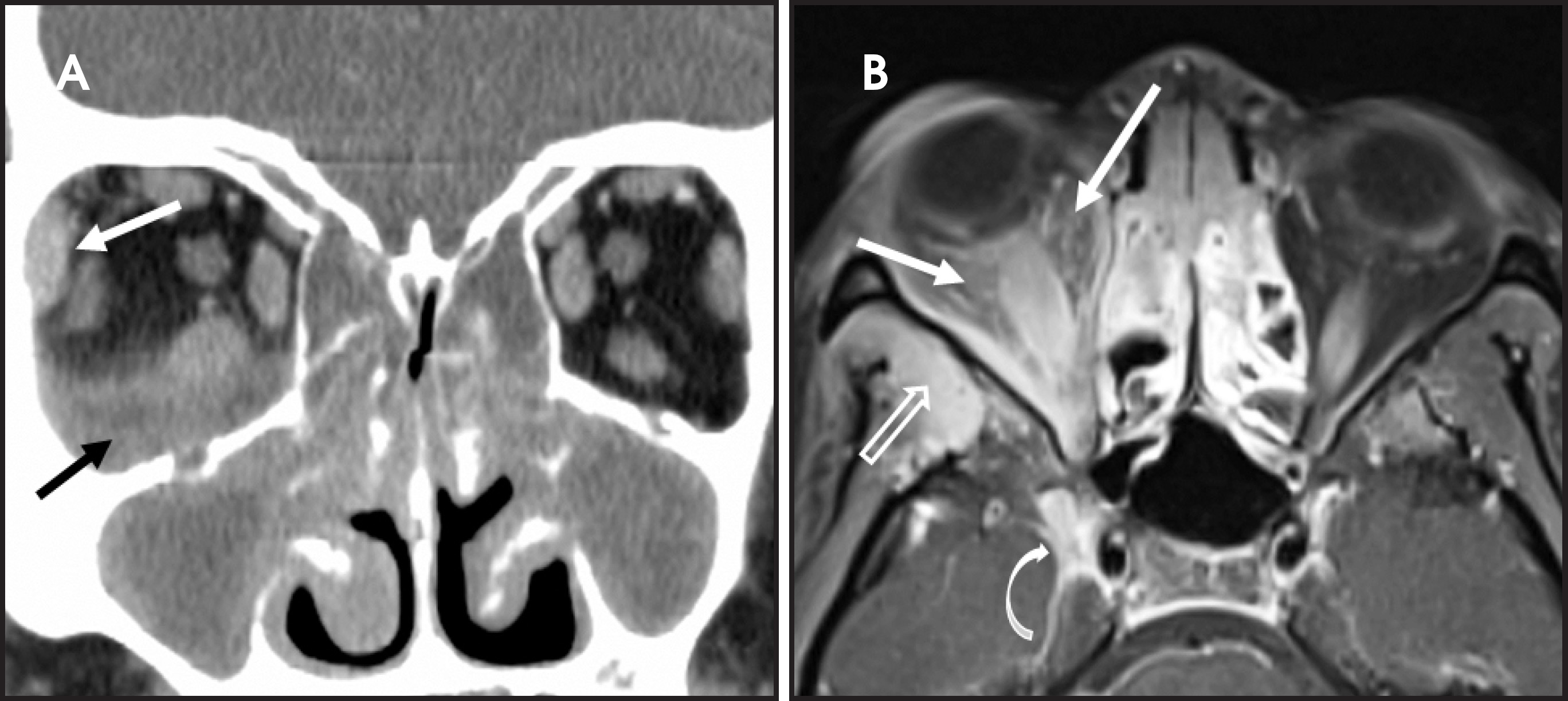 FIGURE 12.