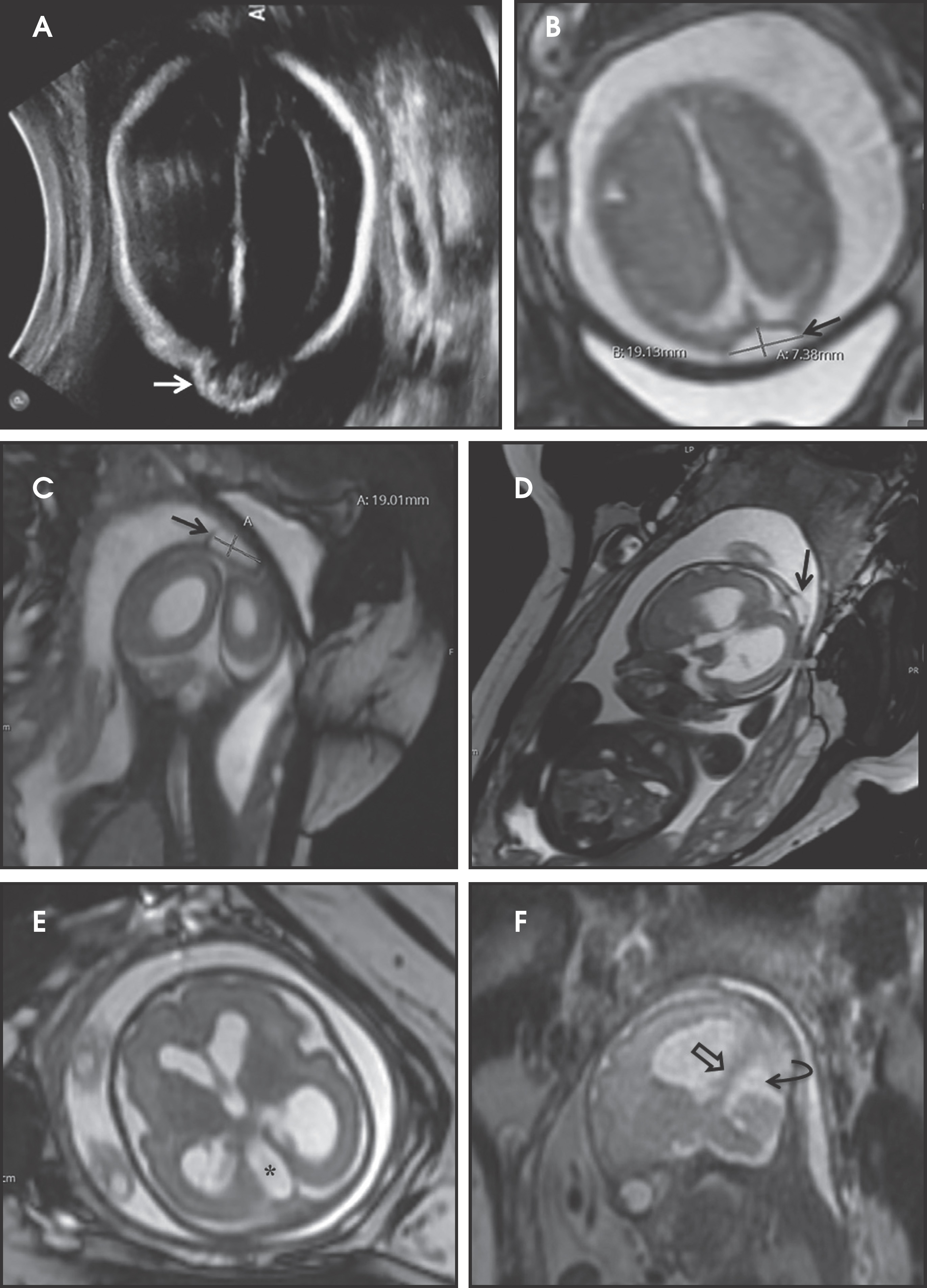 FIGURE 1.