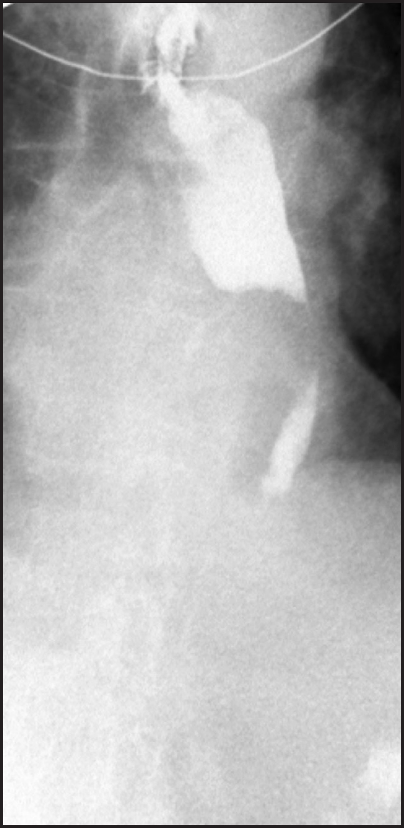 FIGURE 1.