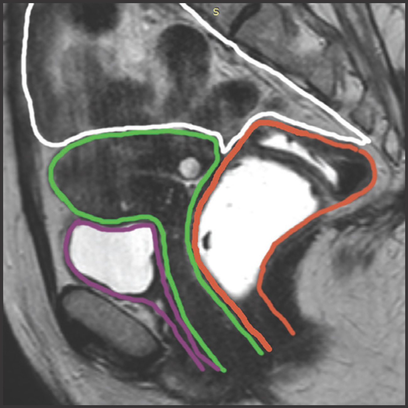 FIGURE 1.