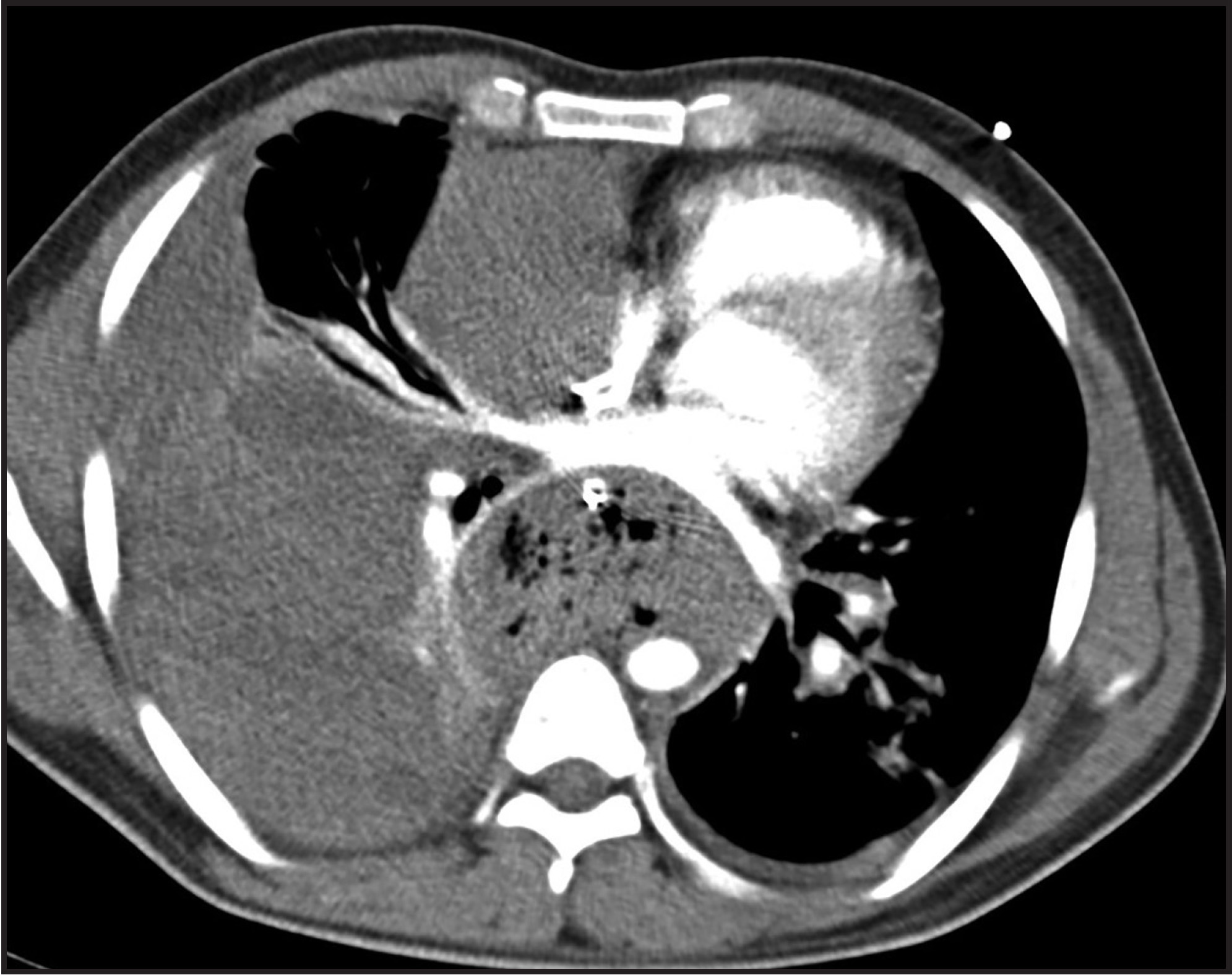FIGURE 1.