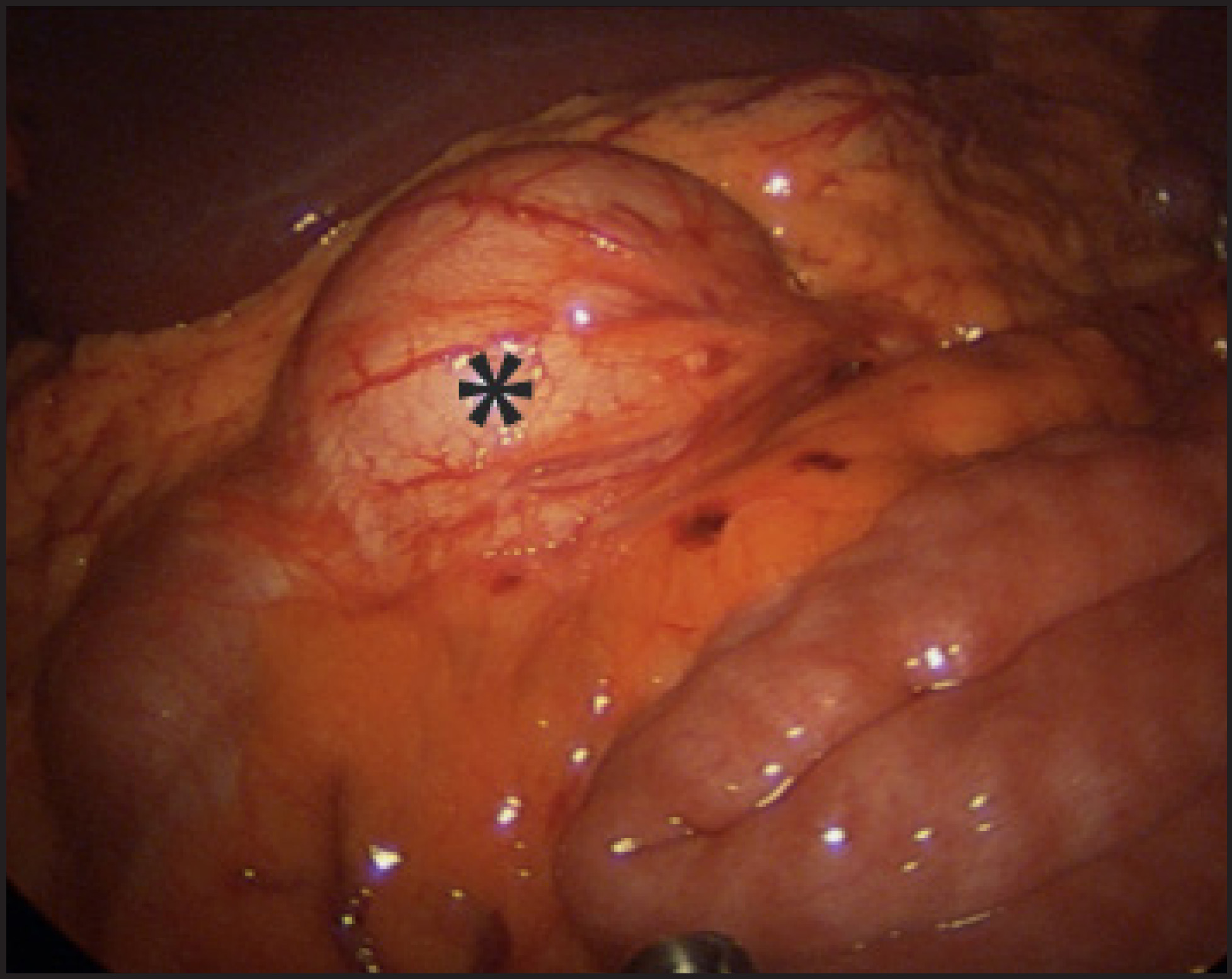 FIGURE 1.