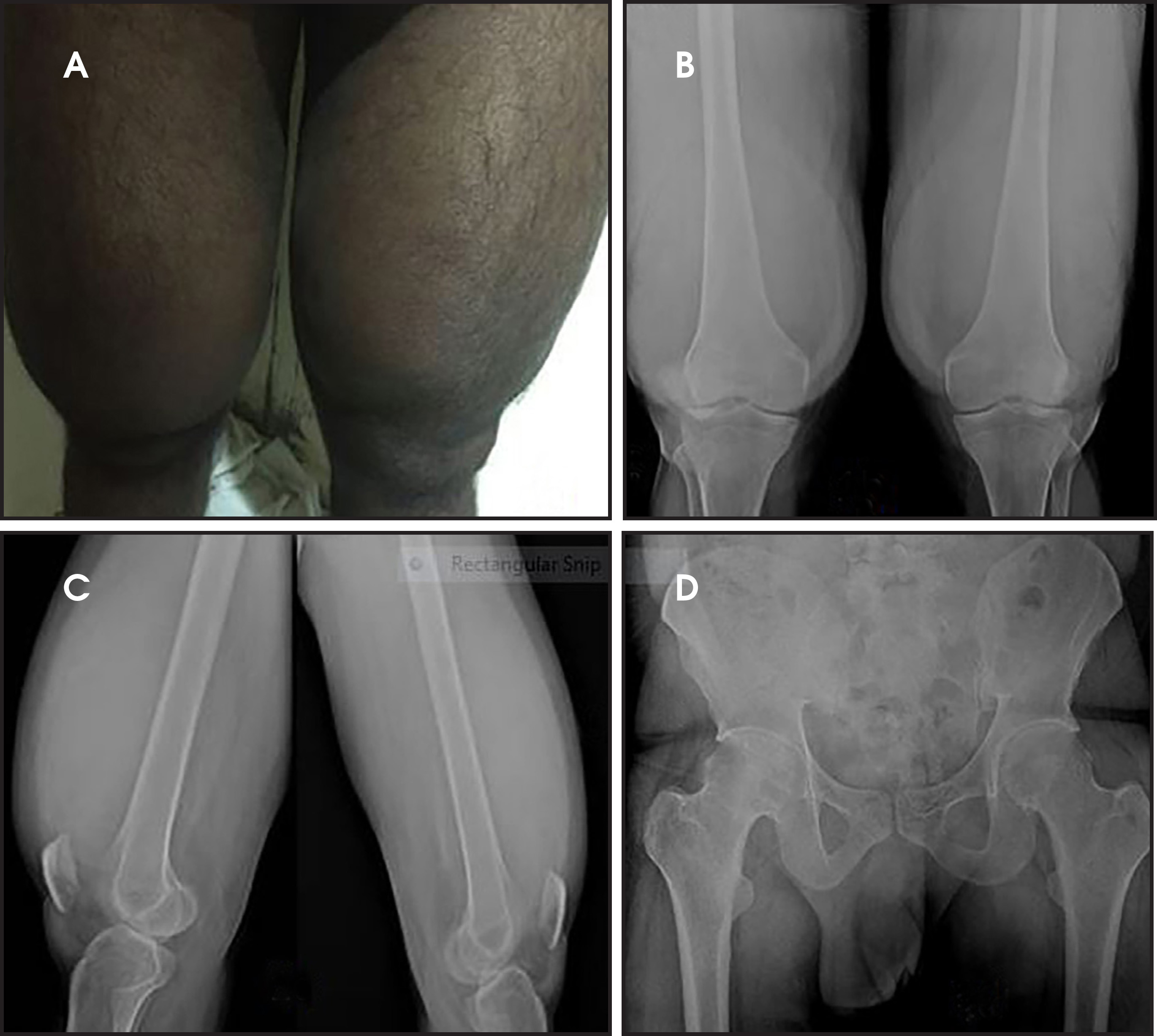 FIGURE 1.