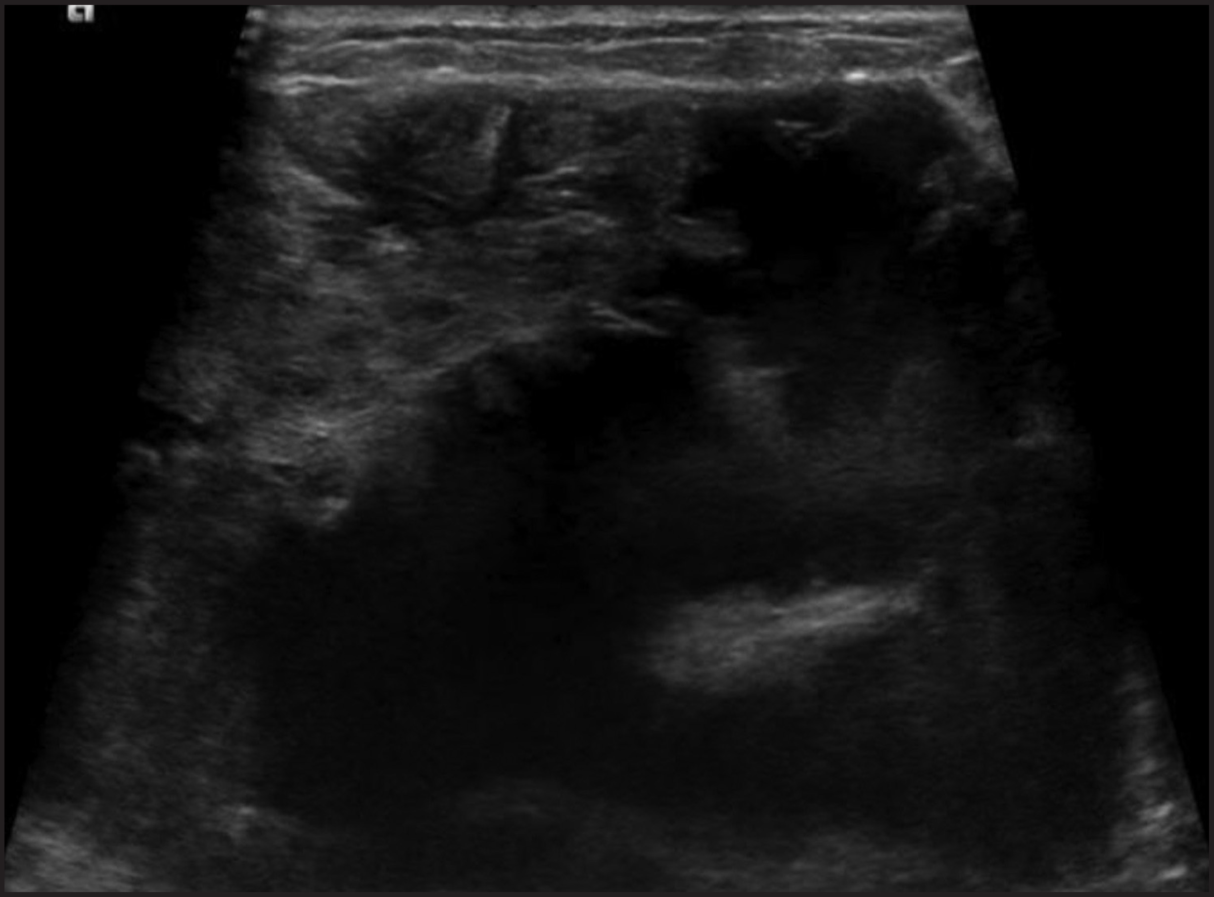 FIGURE 12.