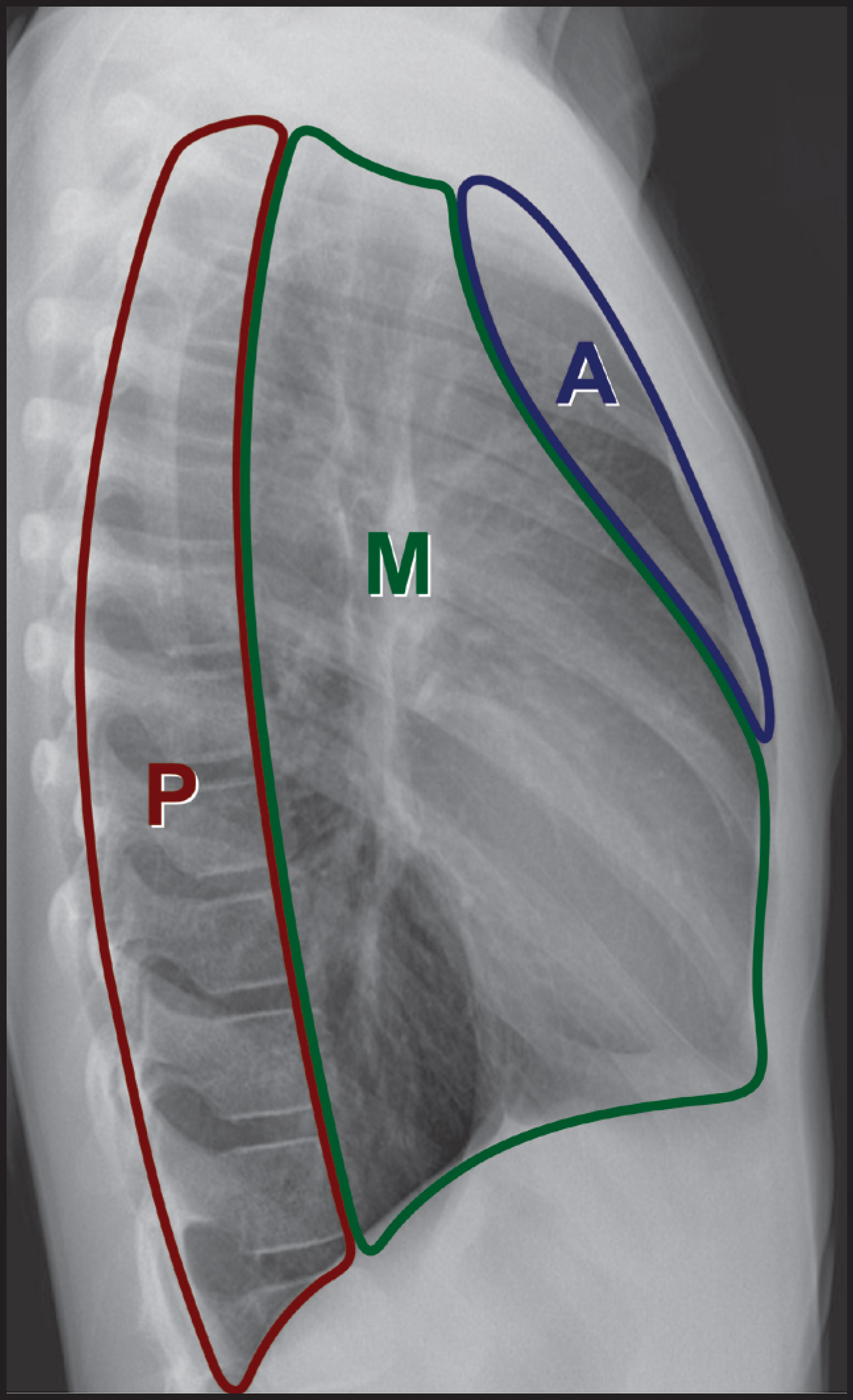 FIGURE 1.