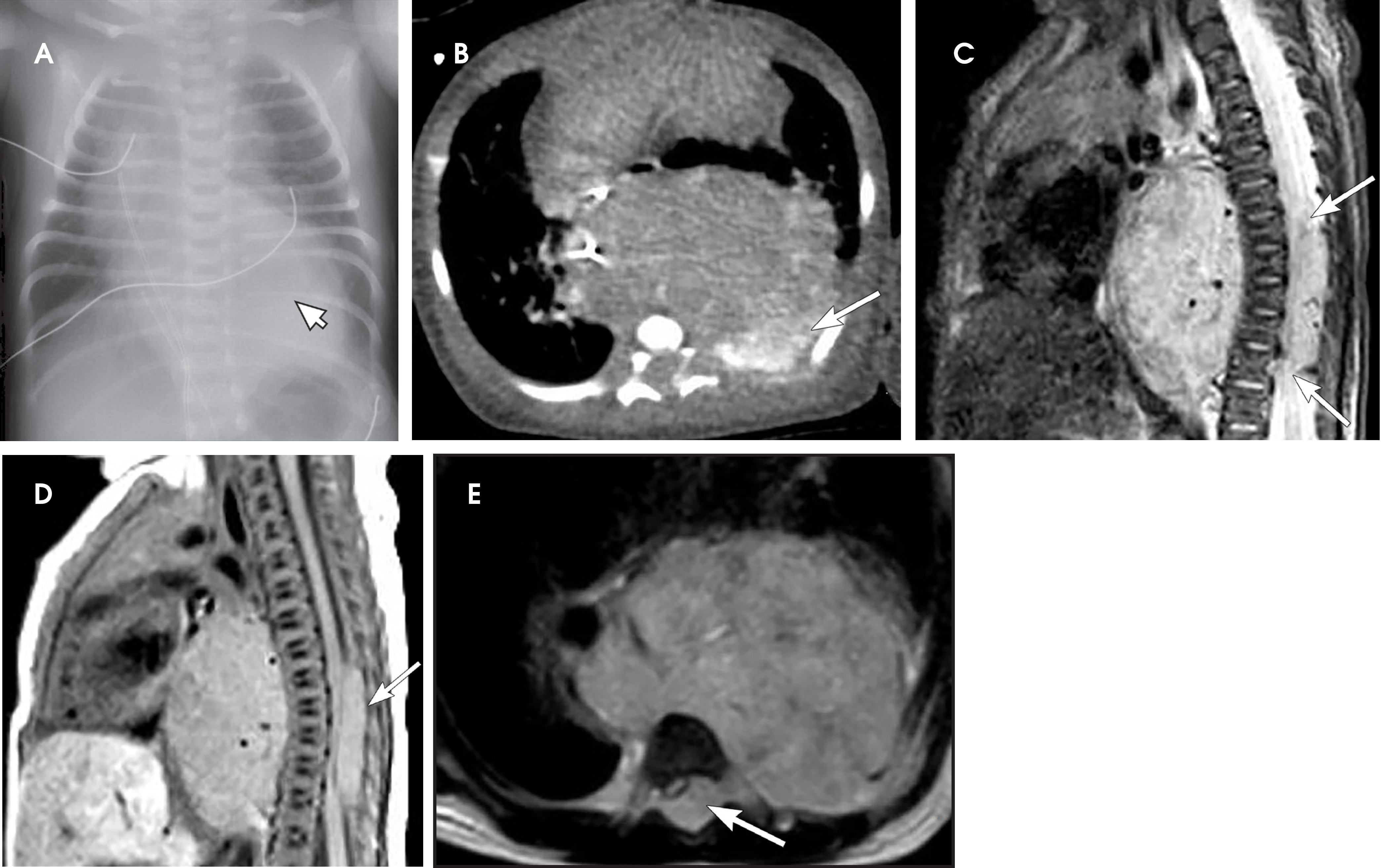 FIGURE 15.