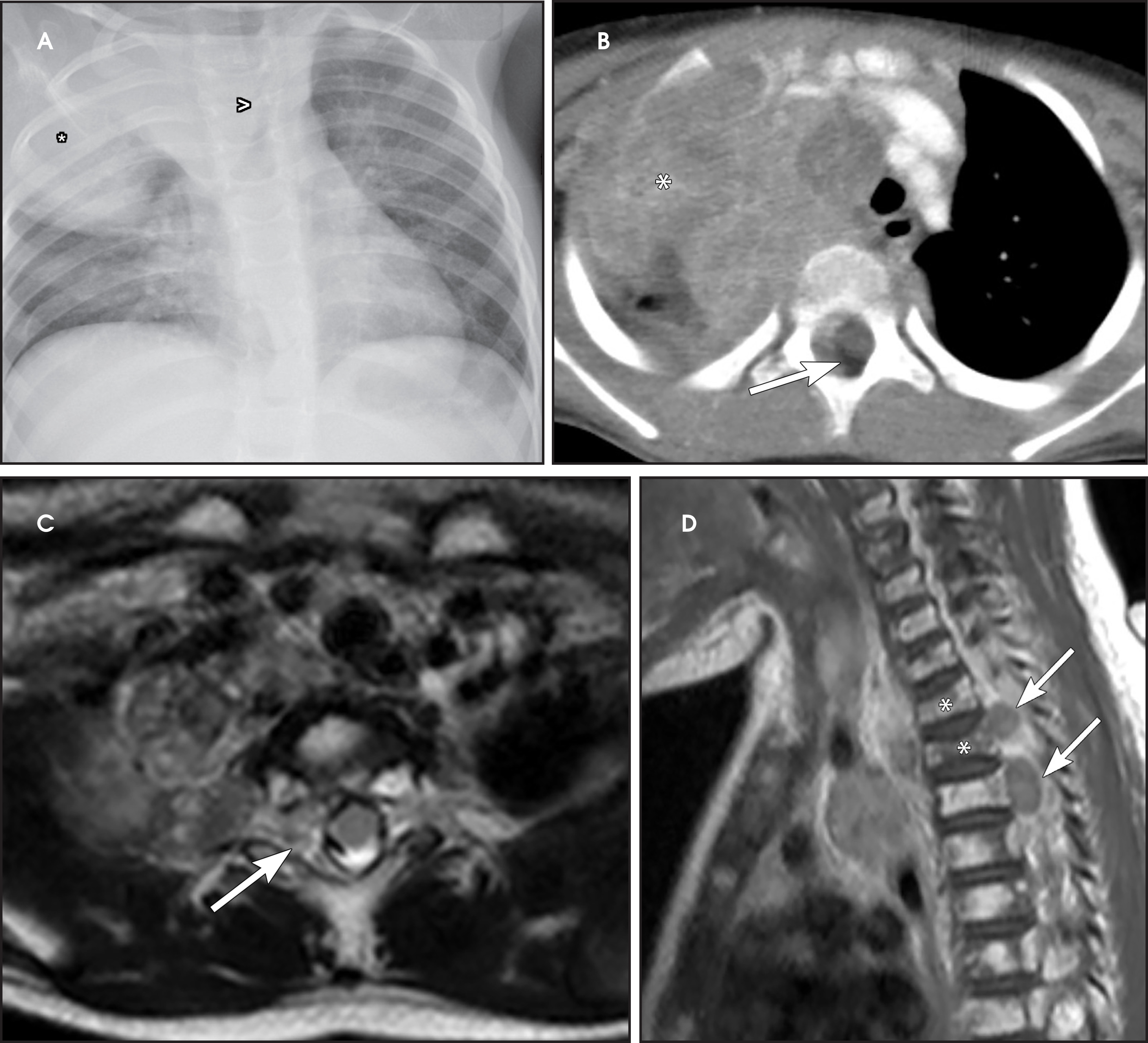 FIGURE 17.