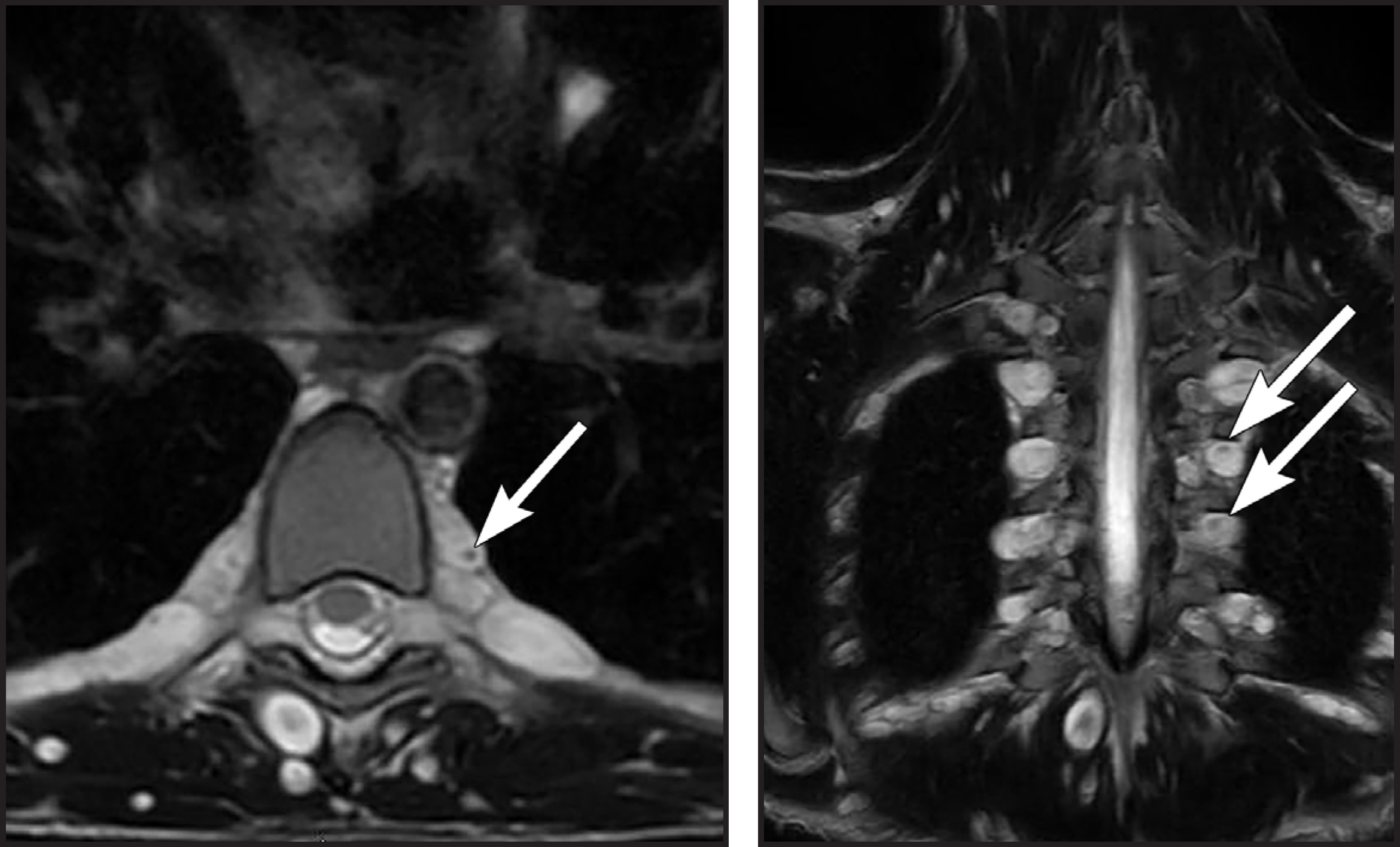 FIGURE 20.