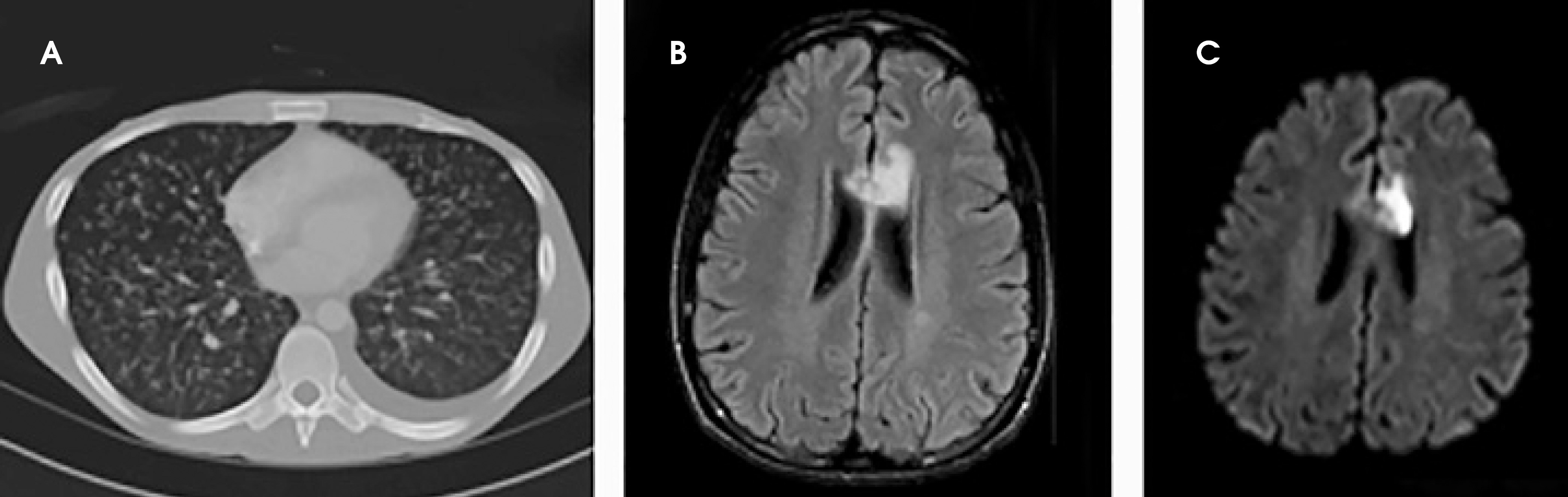 FIGURE 1.