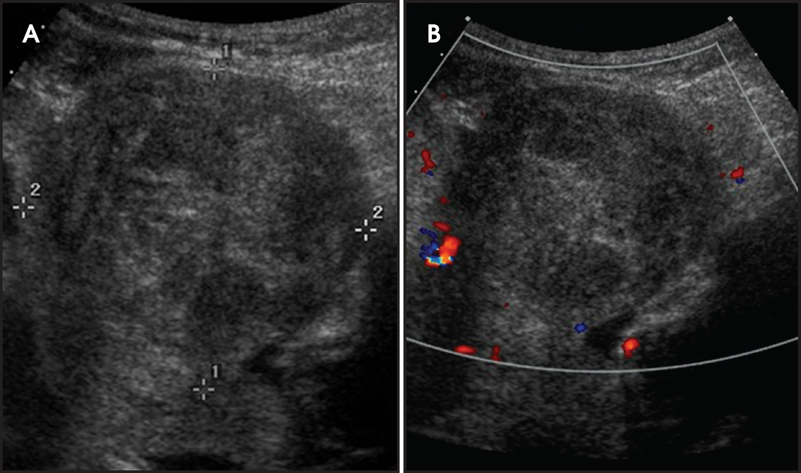 FIGURE 3.