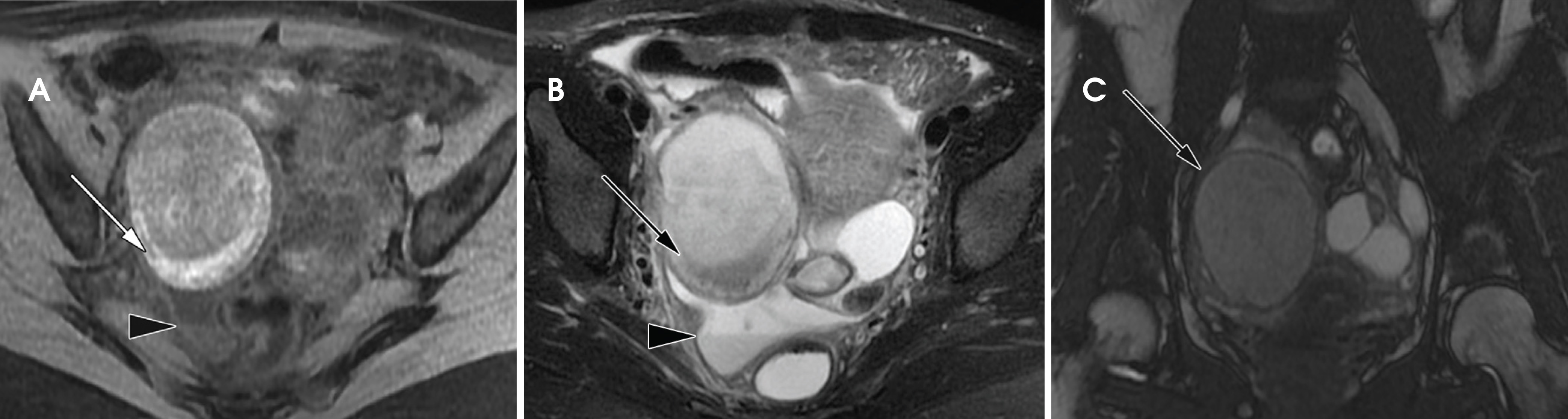 FIGURE 7.