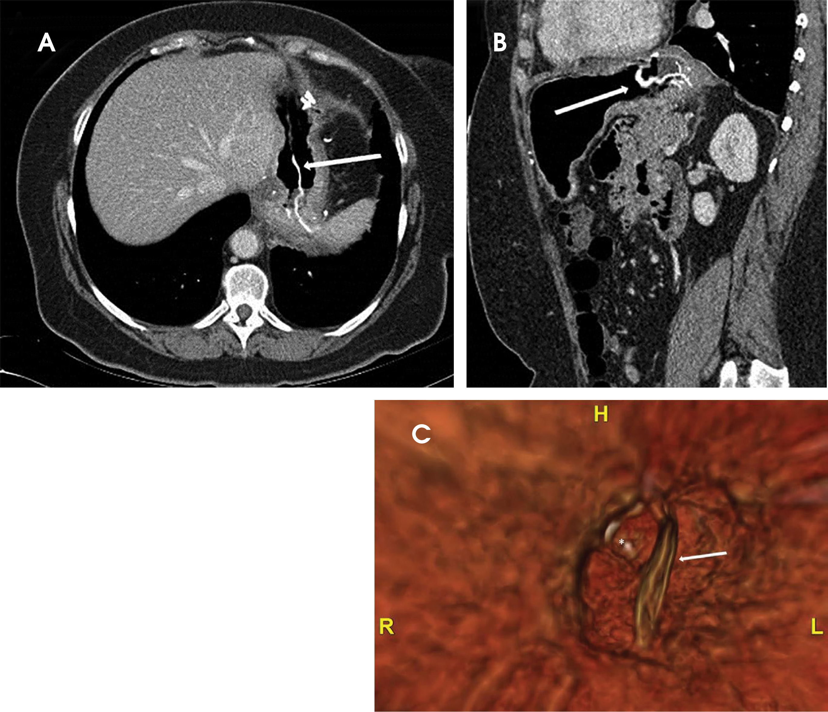 FIGURE 2.