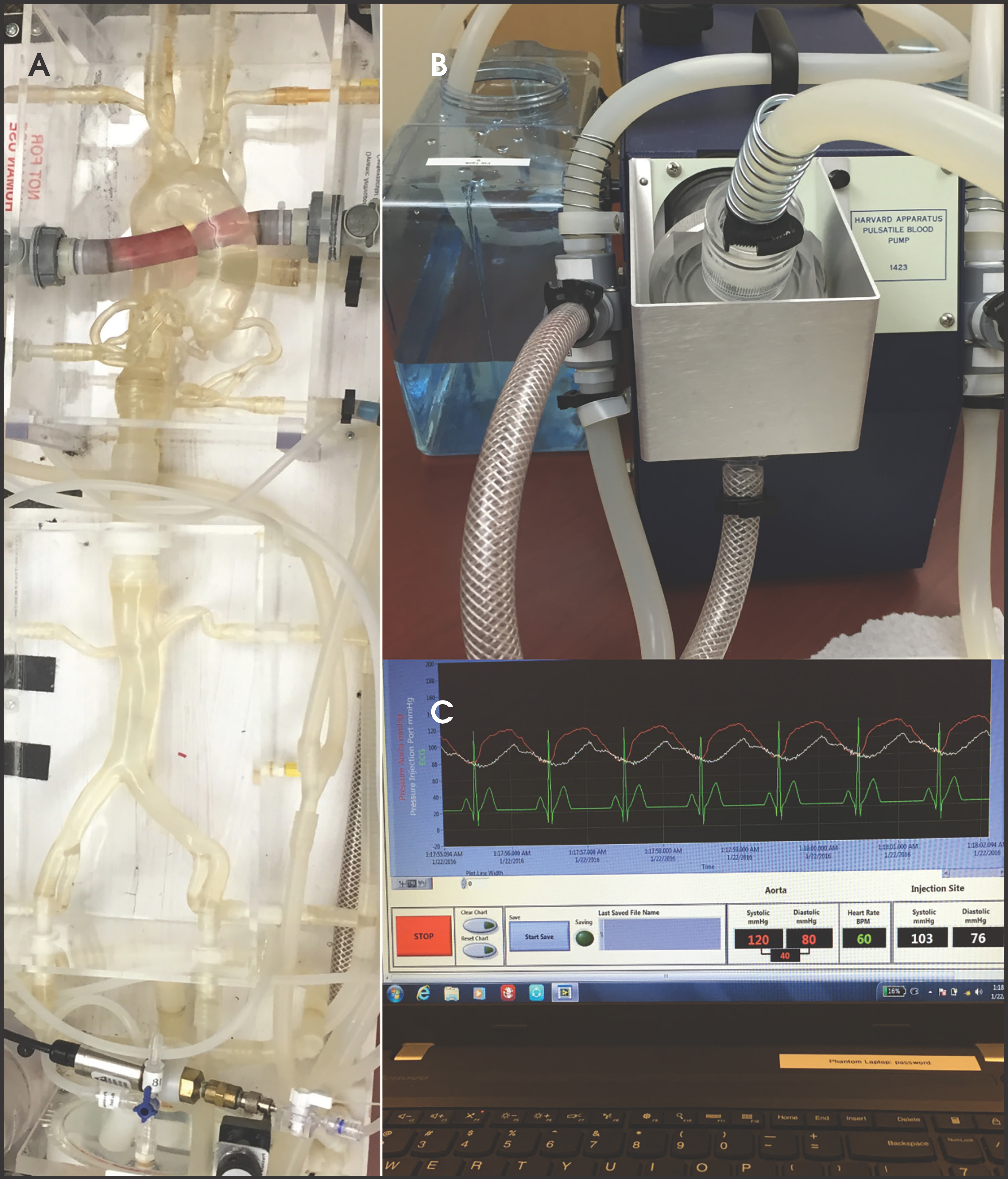 FIGURE 3.