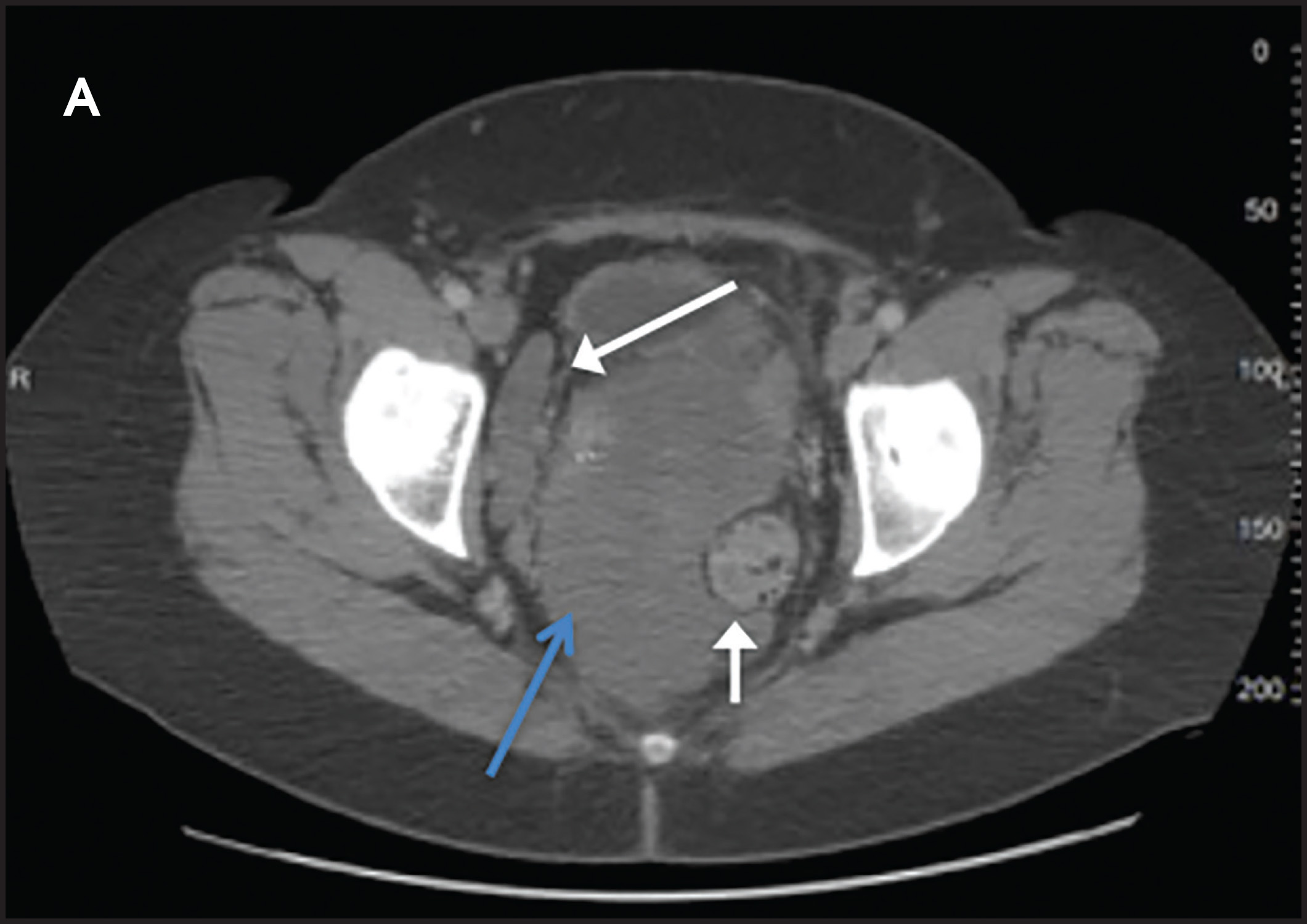 FIGURE 1.