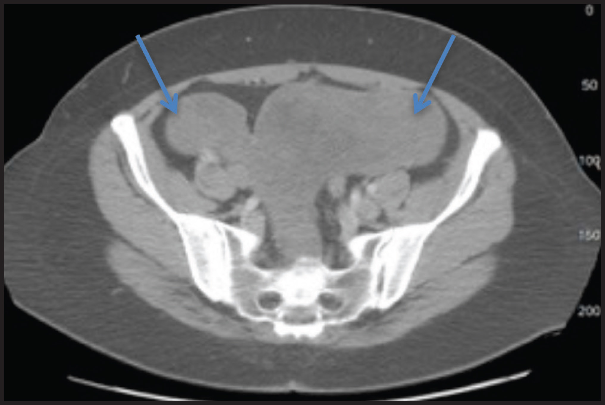 FIGURE 2.