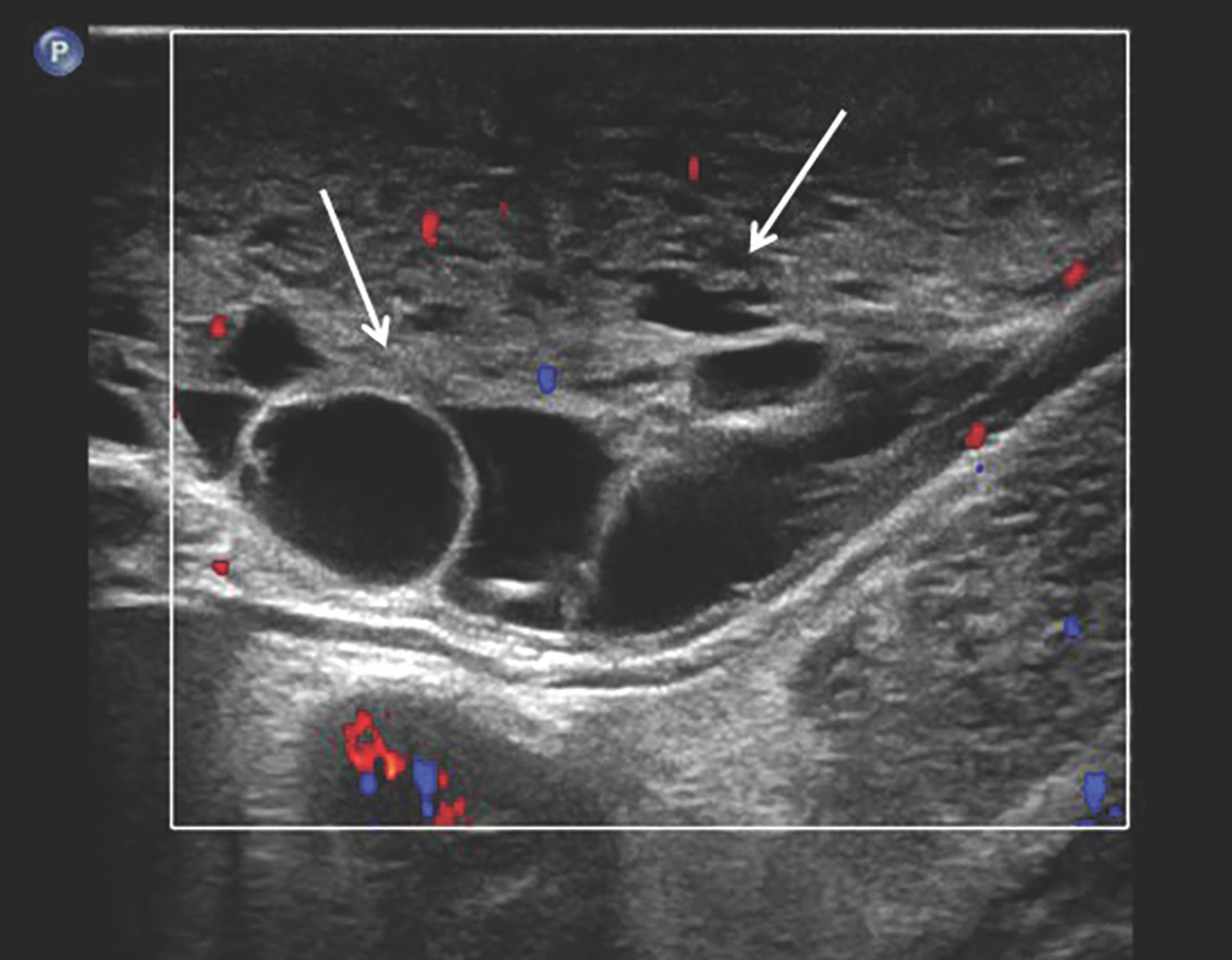 FIGURE 1.