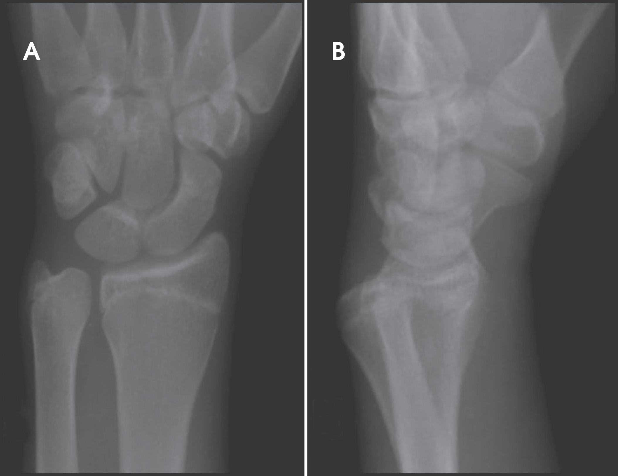 FIGURE 1.