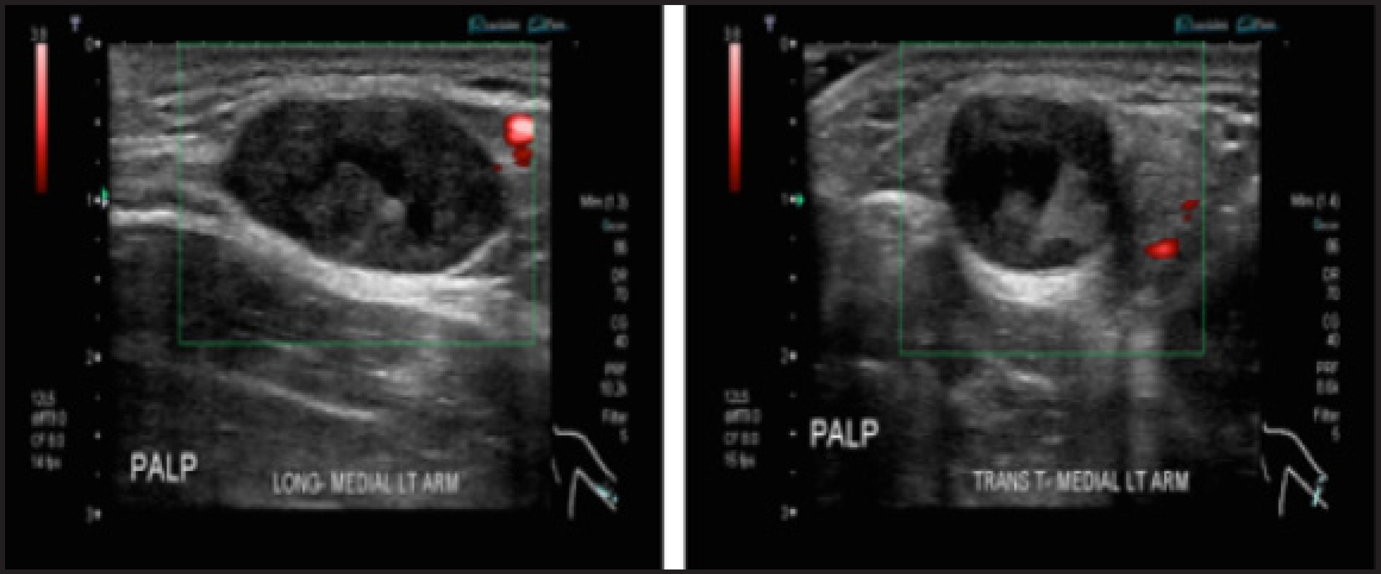 FIGURE 1.