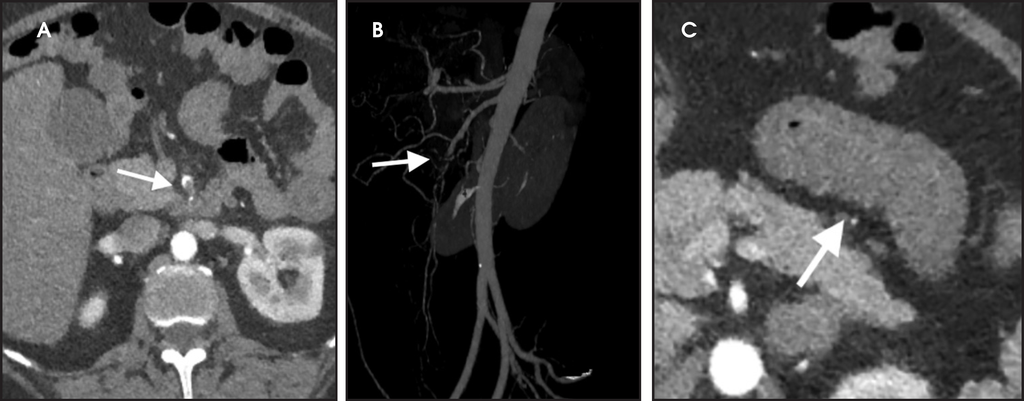 FIGURE 4.