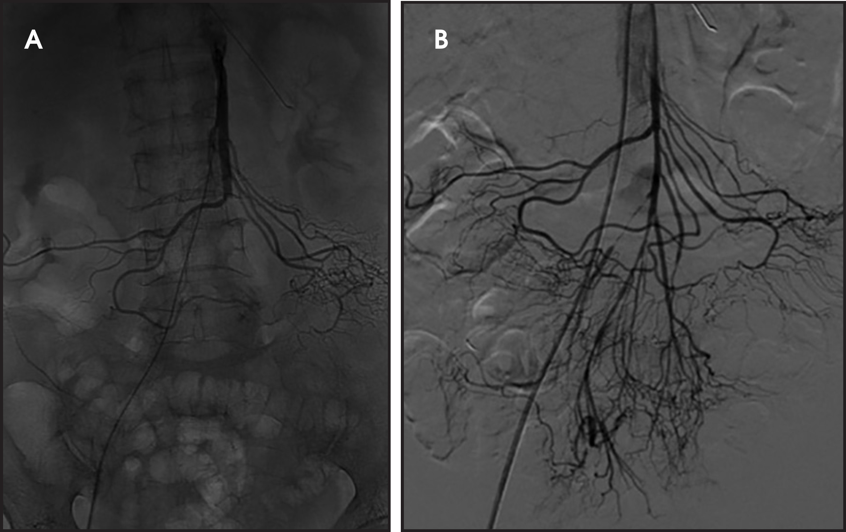 FIGURE 10.