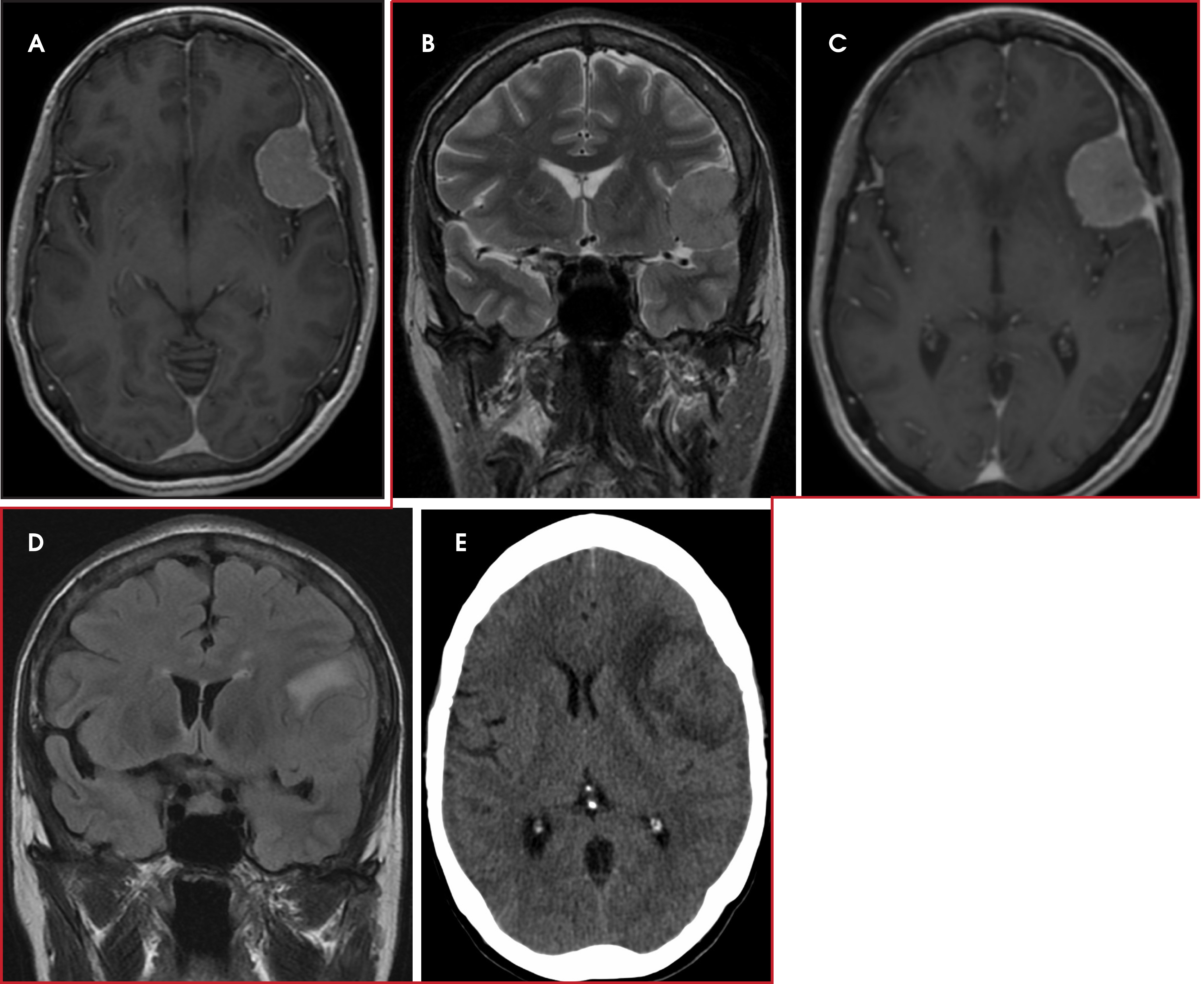 FIGURE 1.