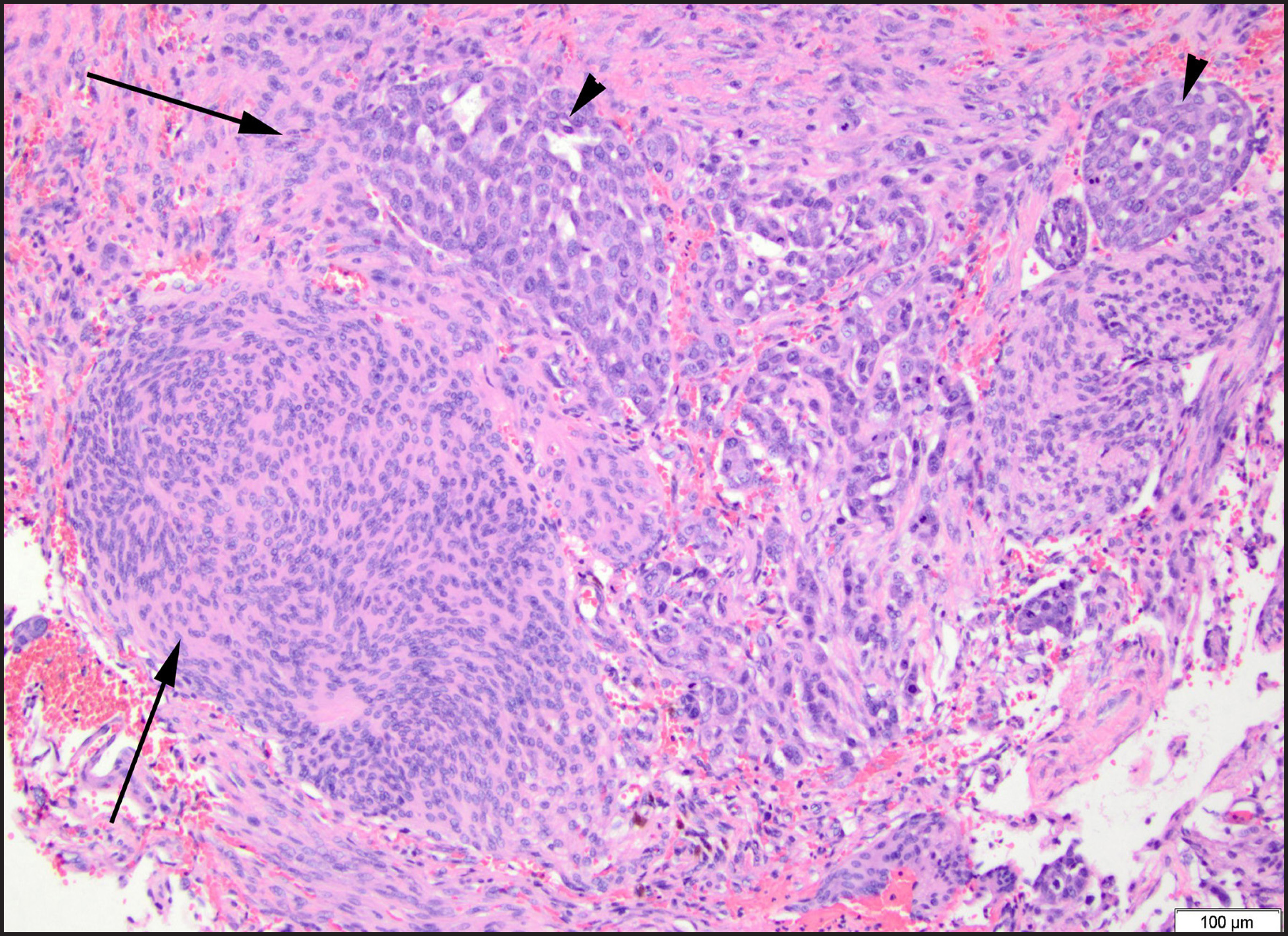 FIGURE 2.