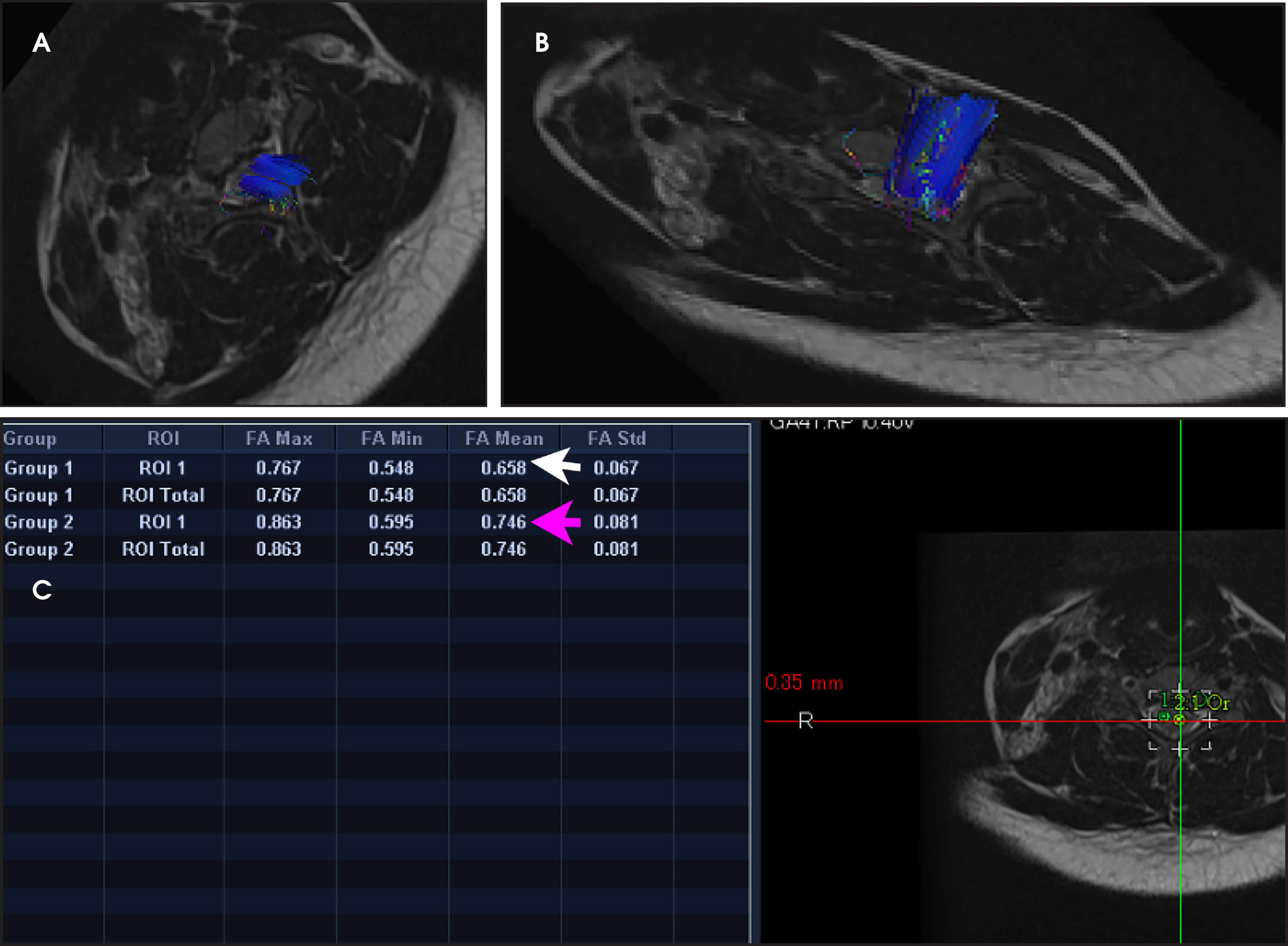 FIGURE 4.