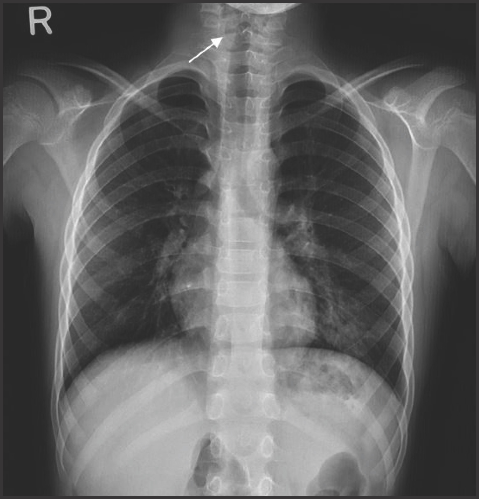 FIGURE 1.