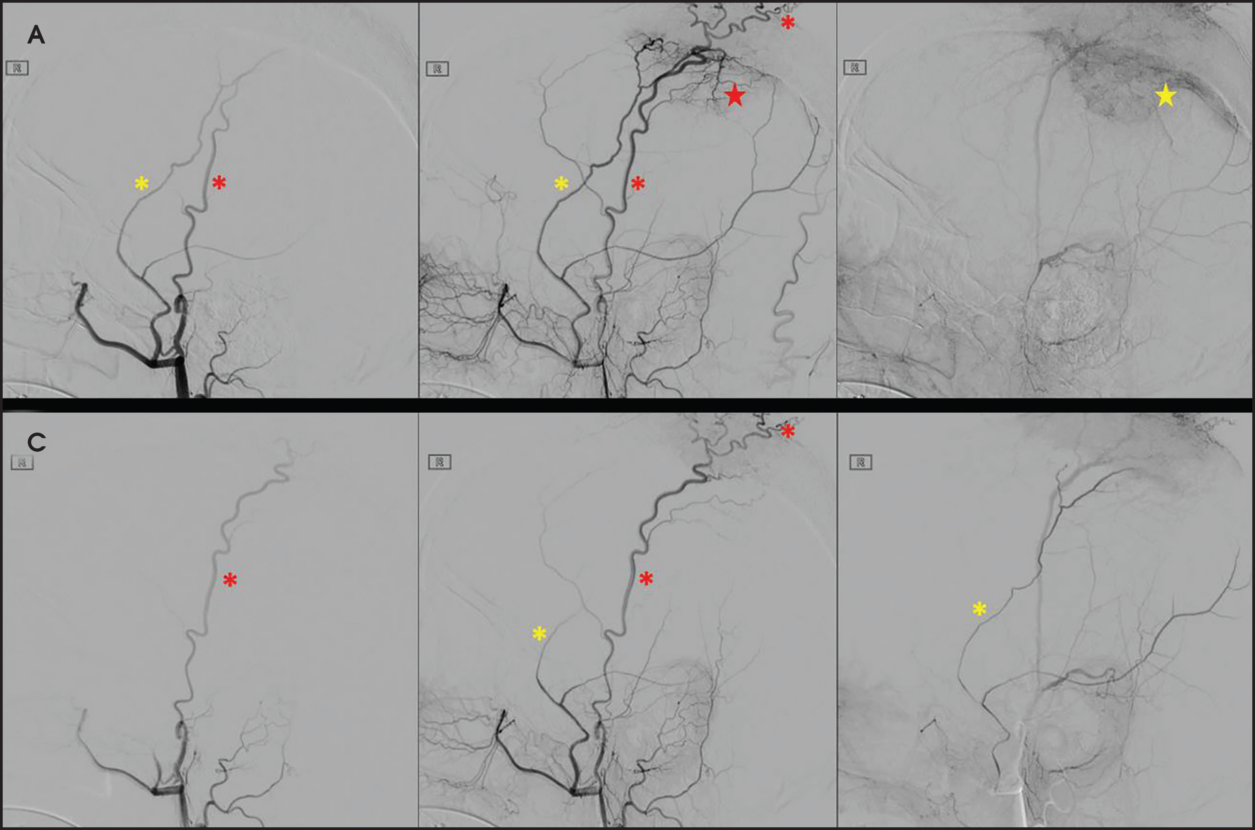 FIGURE 4.