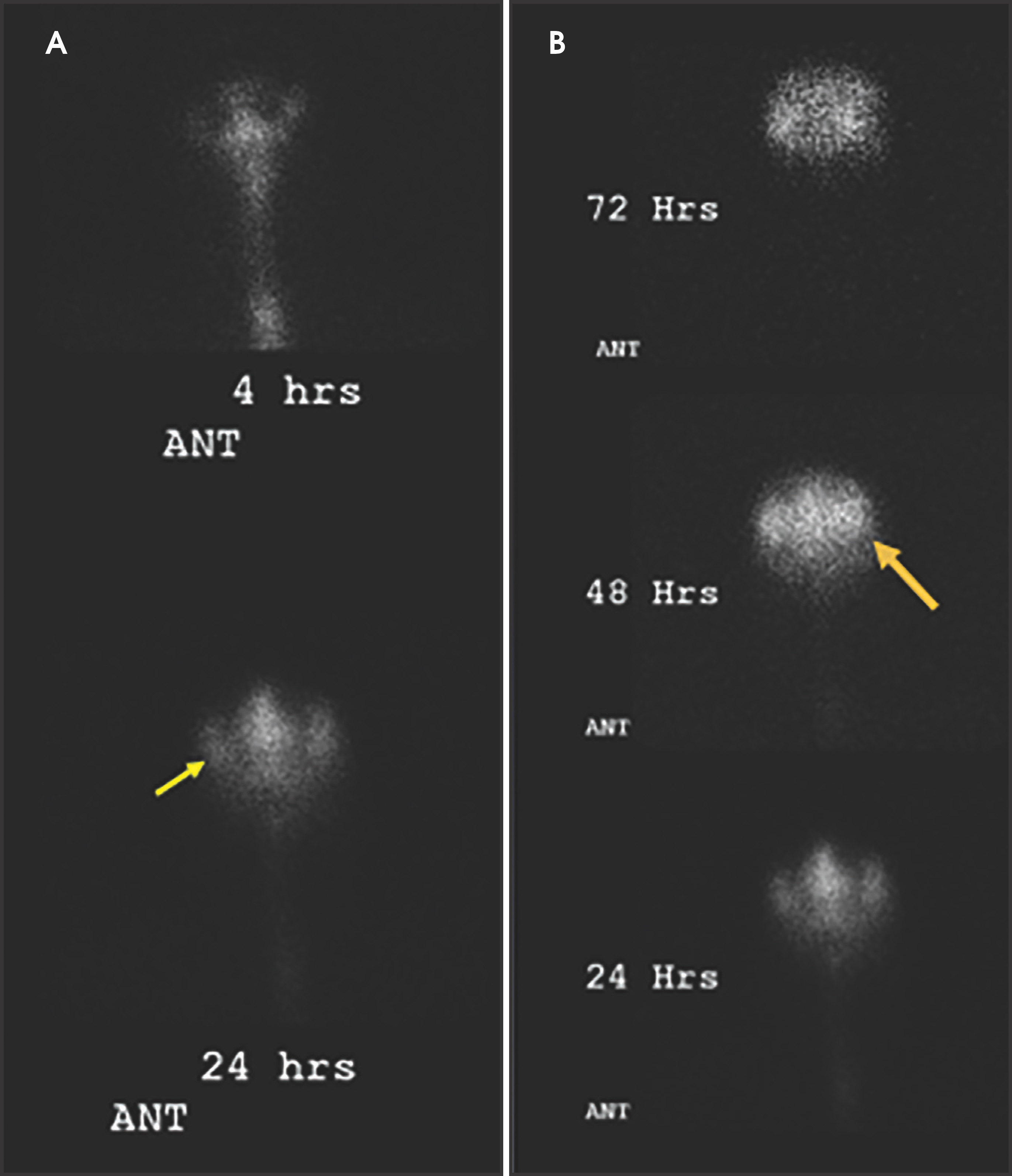 FIGURE 9.