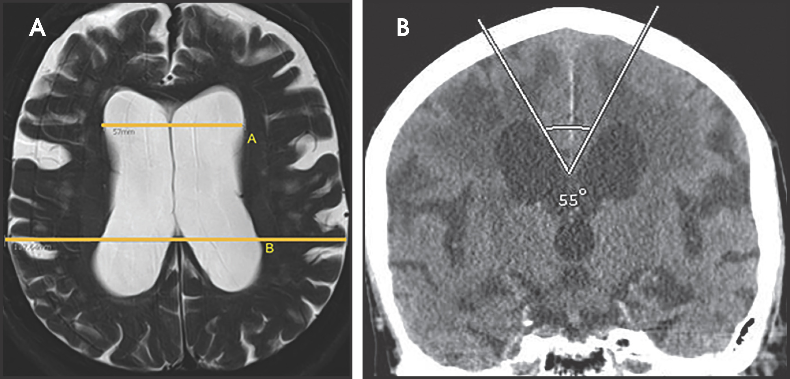 FIGURE 10.