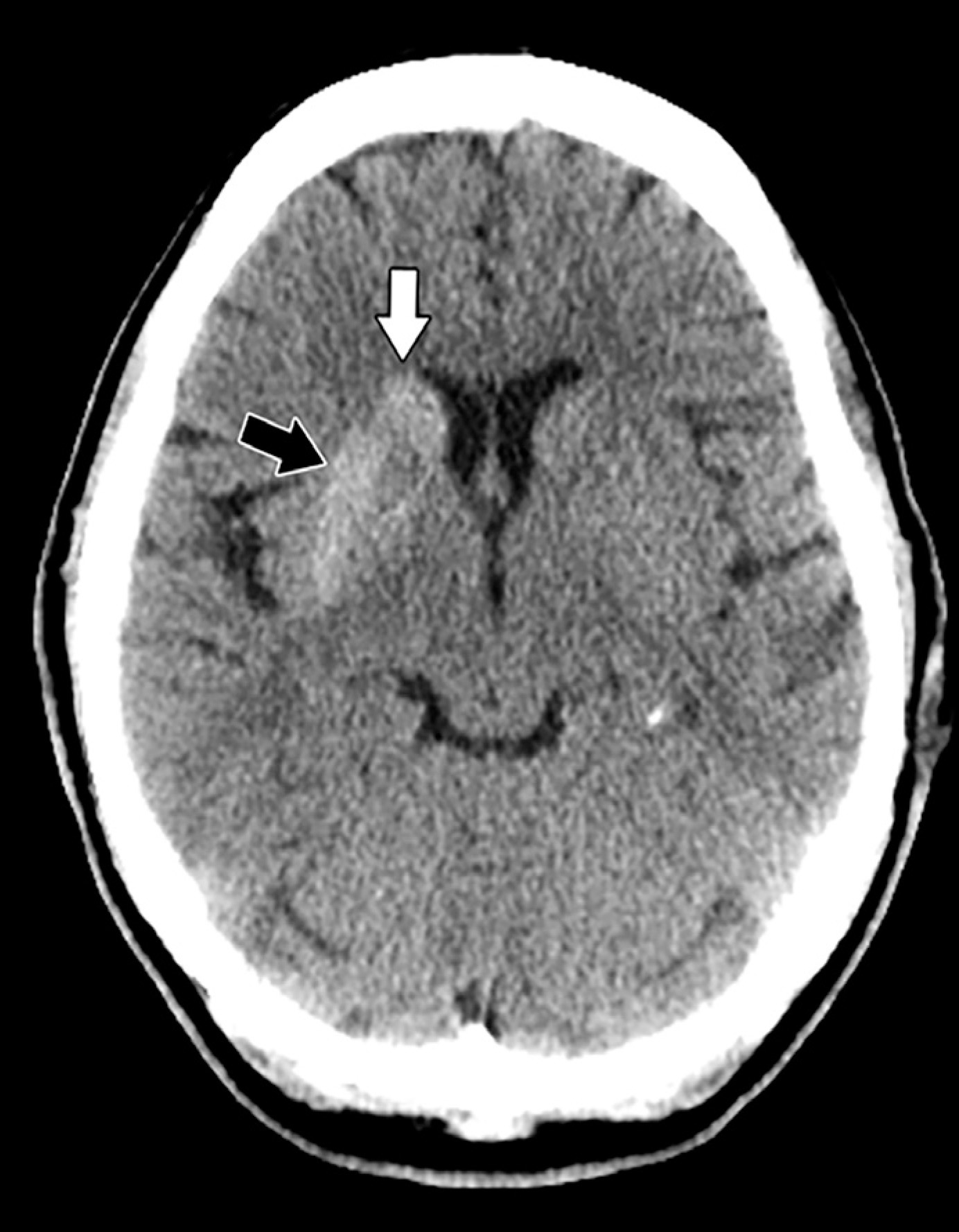 FIGURE 1.