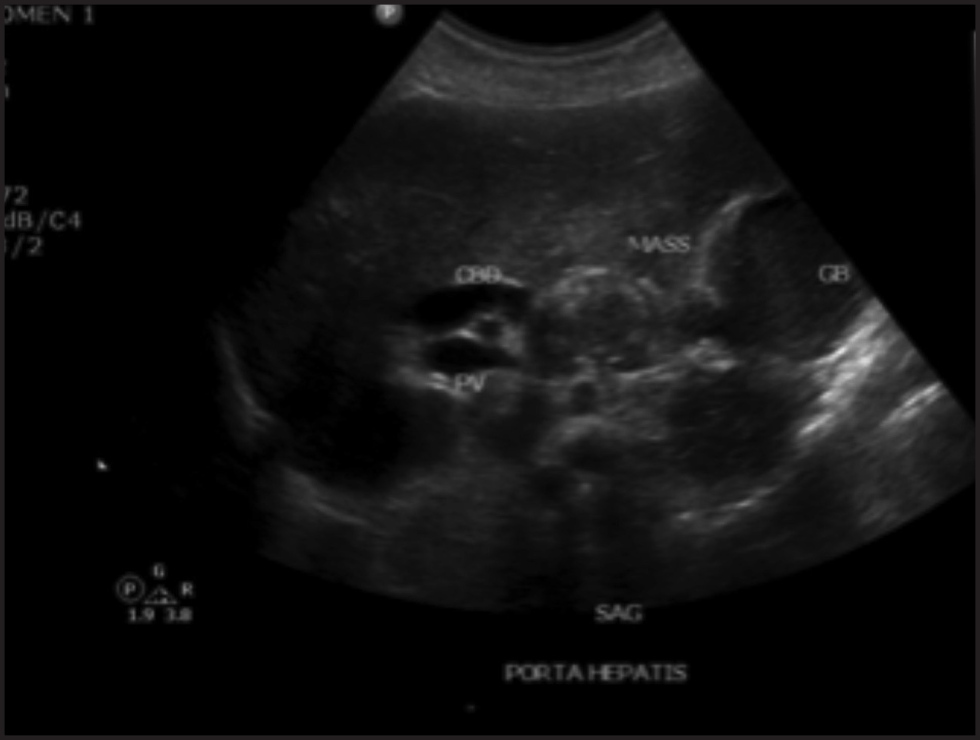 FIGURE 1.