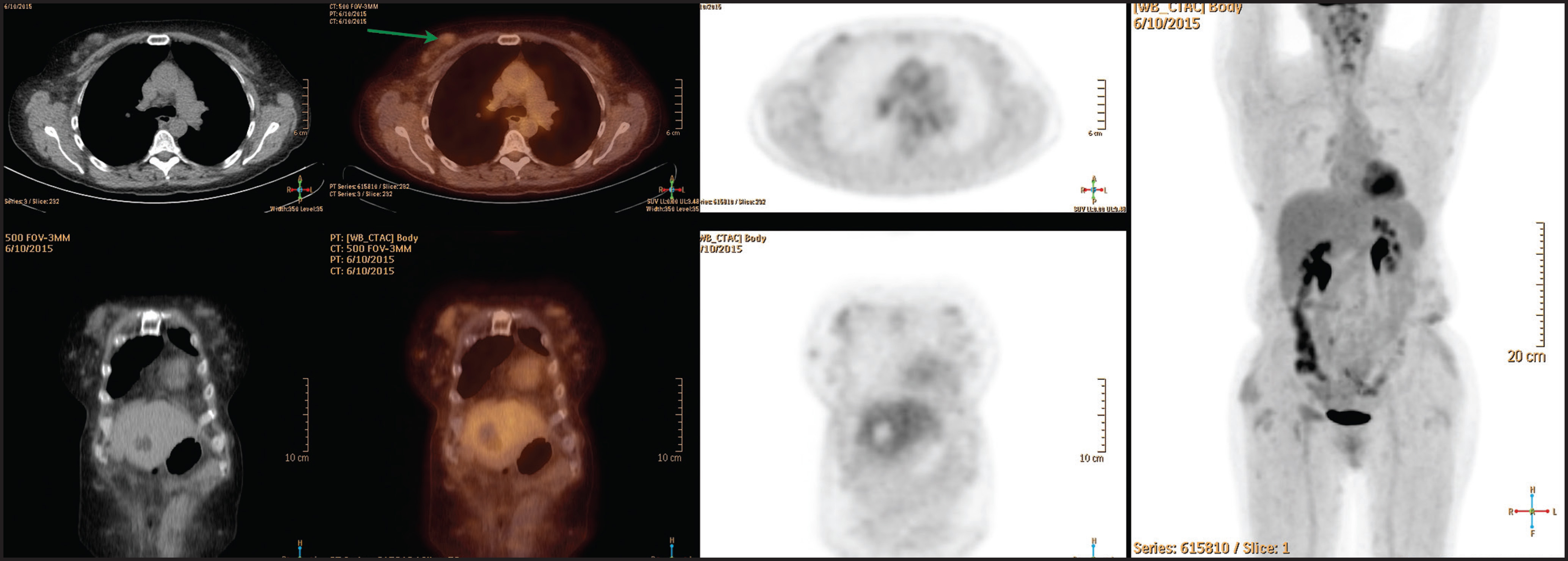 FIGURE 1.