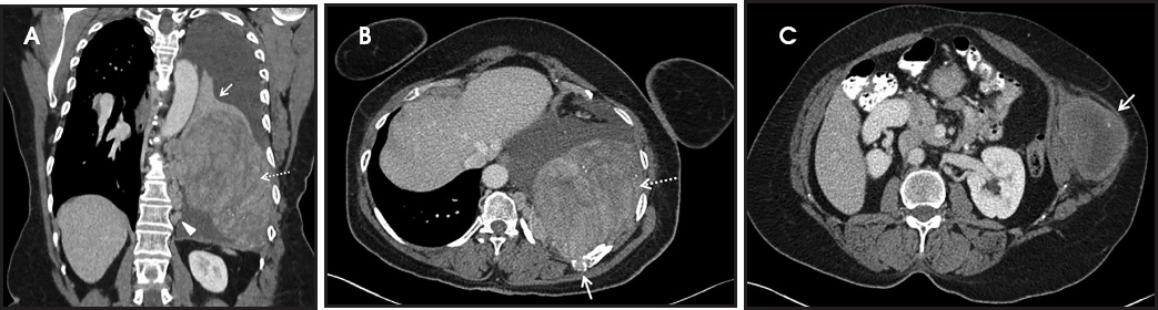 FIGURE 1.