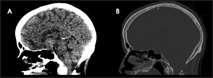 FIGURE 1.