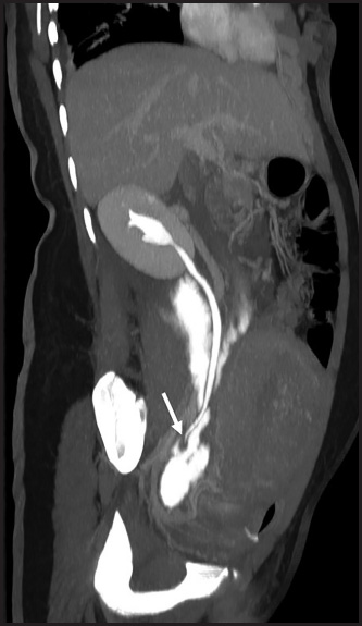 FIGURE 2.
