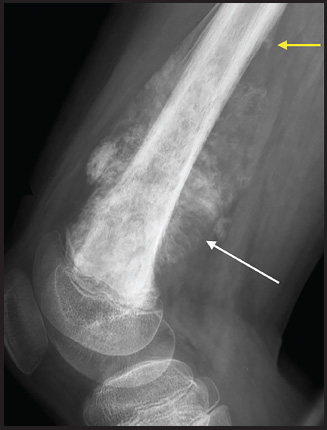 FIGURE 7.