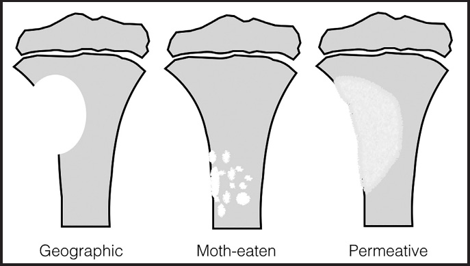 FIGURE 10.