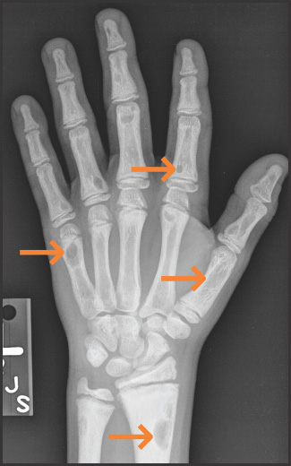 FIGURE 2.