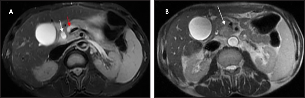 FIGURE 1.