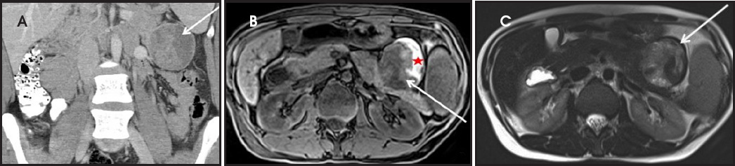 FIGURE 7.