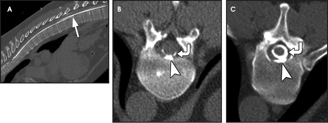FIGURE 7.