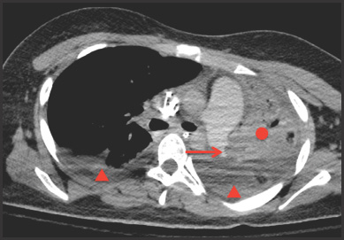 FIGURE 1.