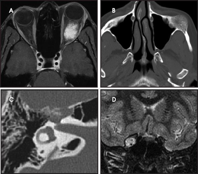FIGURE 1.