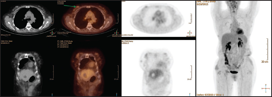 FIGURE 1.