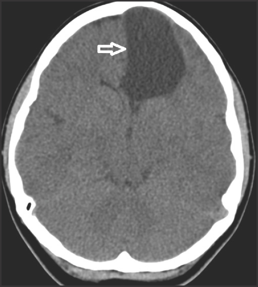 FIGURE 1.