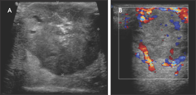 FIGURE 1.