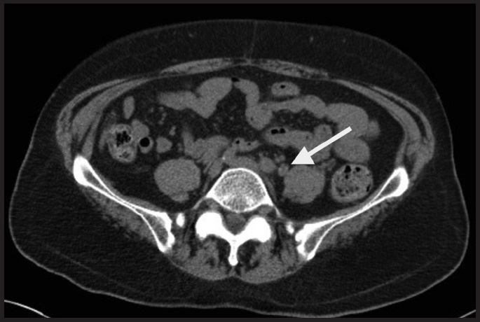 FIGURE 1.