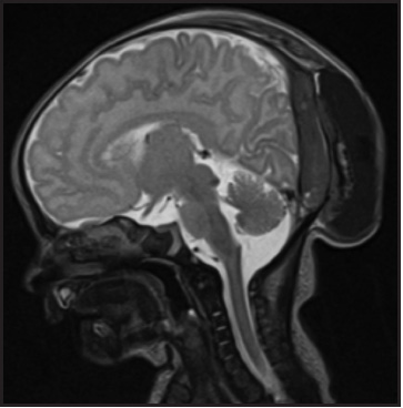 FIGURE 1.